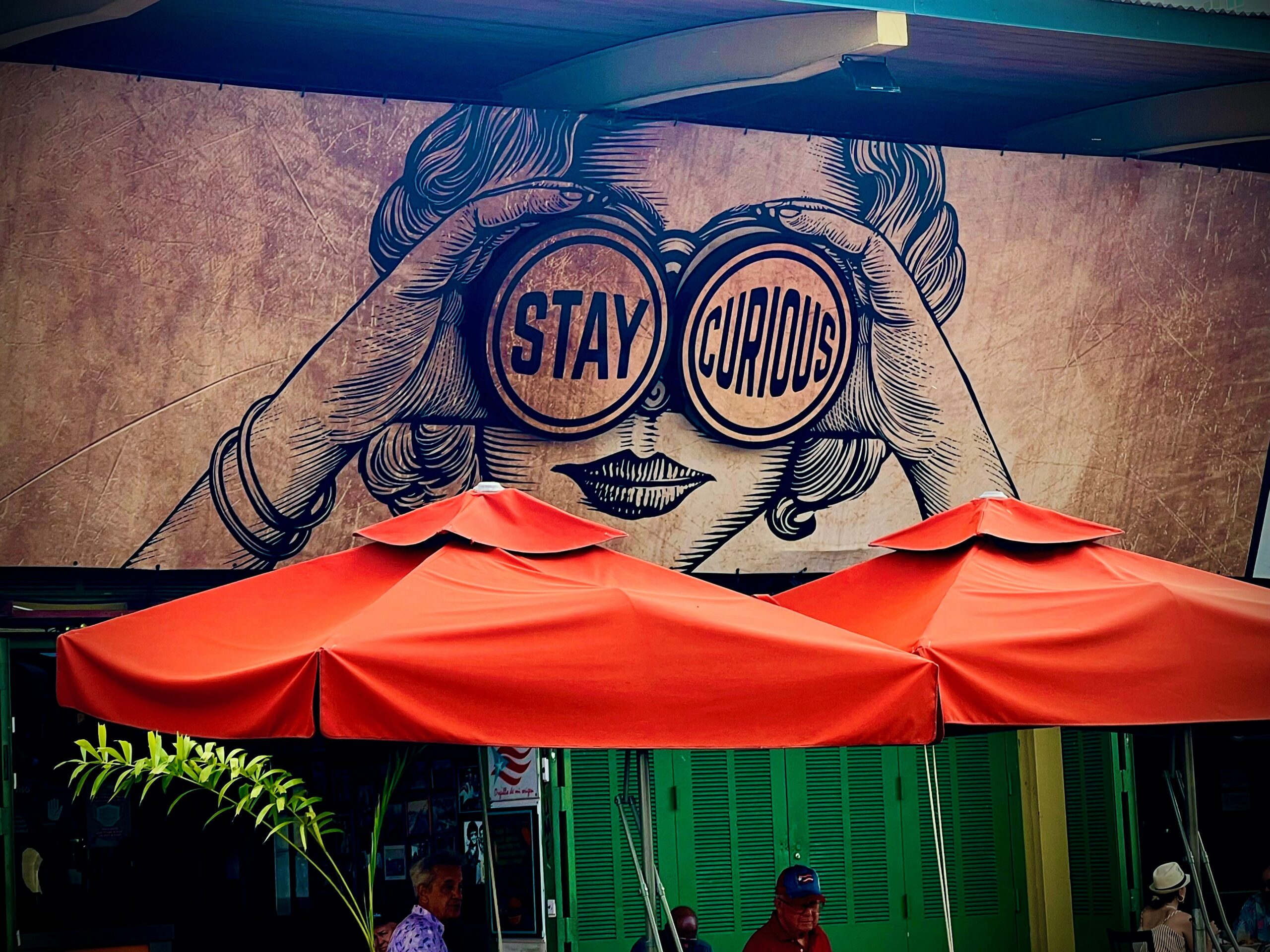 Stay Curious Wall Mural - La Placita, San Juan PR